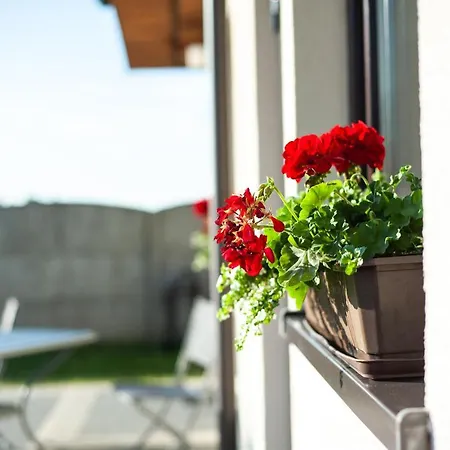 Apartament Nasze Wybrzeże